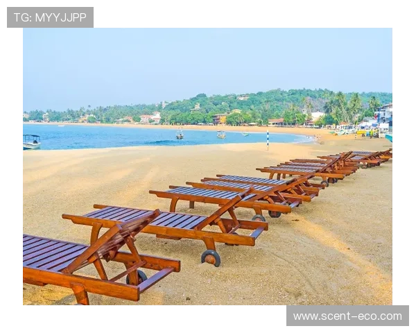 受限制自由球员动态更新格莱姆斯未续约小火车获报价库明加续约两年解析