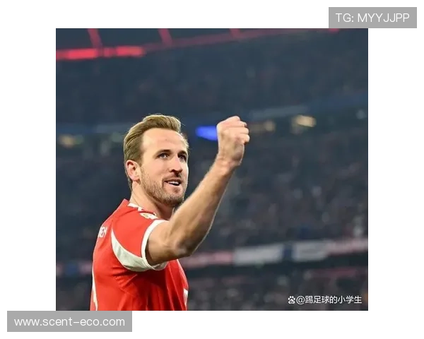 巴萨高层对凯恩表现出浓厚兴趣引进小蜘蛛面临挑战