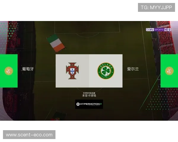 葡萄牙对阵爱尔兰首发阵容揭晓C罗维蒂尼亚B费领衔出战